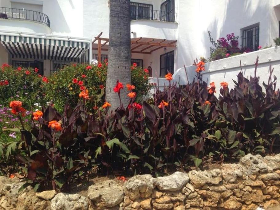 Сasa de vacaciones Nyrenoverat! Beachfront Townhouse Med Pool Málaga